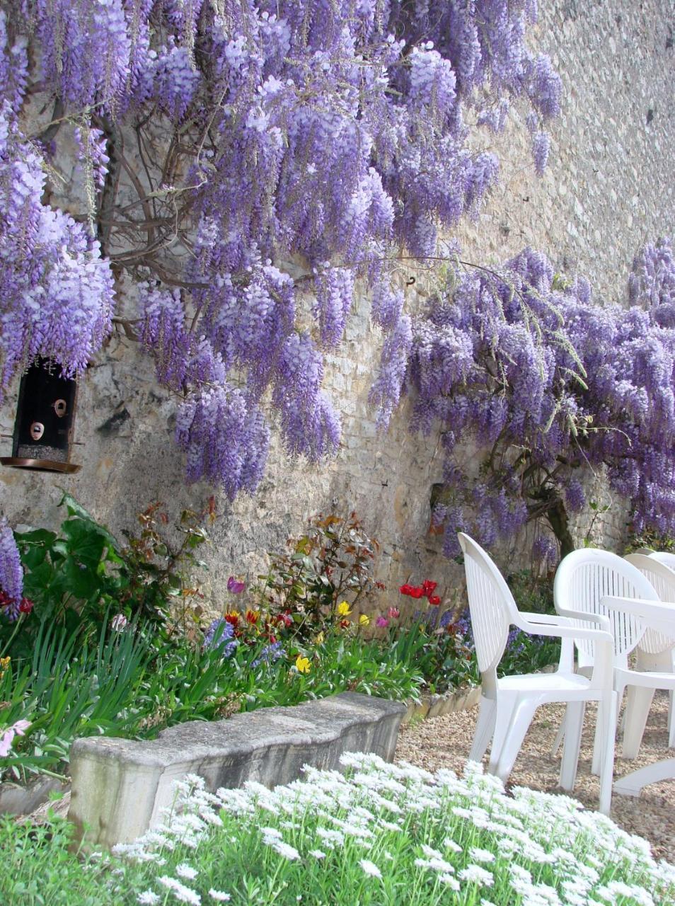Hotel De La Ferte Chagny  Exterior photo